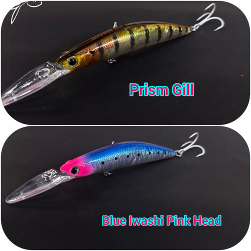 Saseiya Hirame 95 F: Must-Have Lure for Indian Waters | Anglers Union